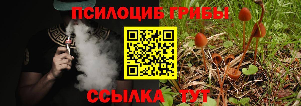 Псилоцибиновые грибы Psilocybine cubensis  Псилоцибиновые грибы ЛСД  Сокол  Вход с VPN 